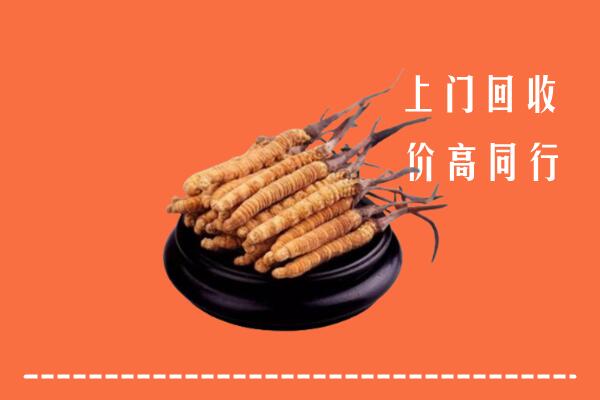 方正县回收冬虫夏草