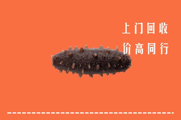 方正县回收海参