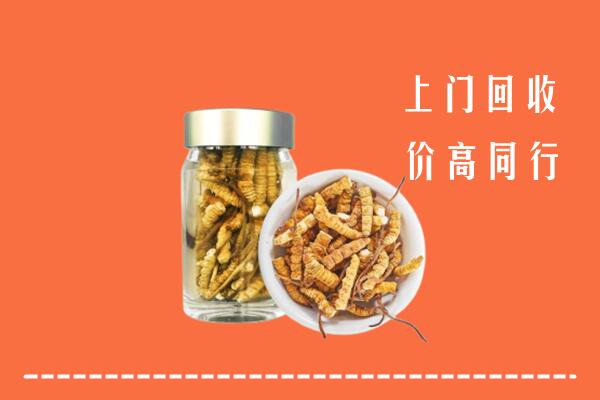方正县回收冬虫夏草